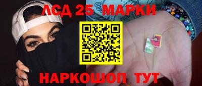 гашик Аргун