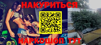 гашик Аргун