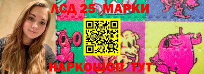 гашик Аргун