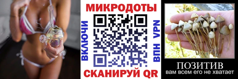 наркотики  Бахчисарай  Псилоцибиновые грибы Magic Shrooms 