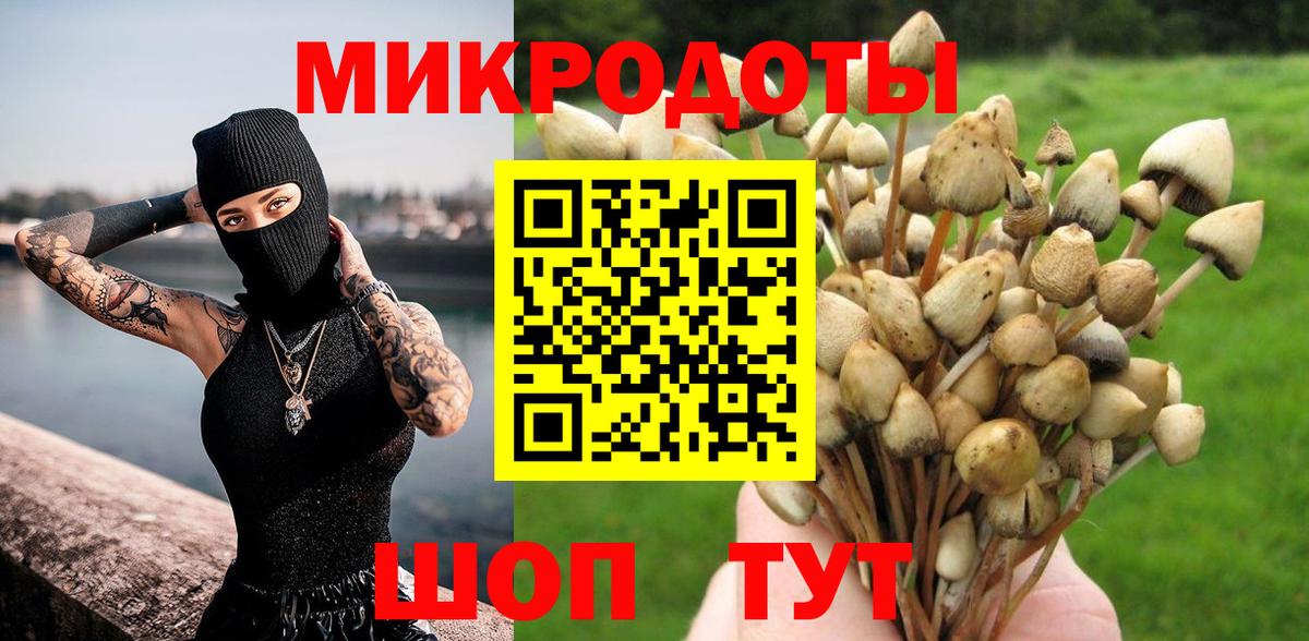 Галлюциногенные грибы Psilocybe Бахчисарай