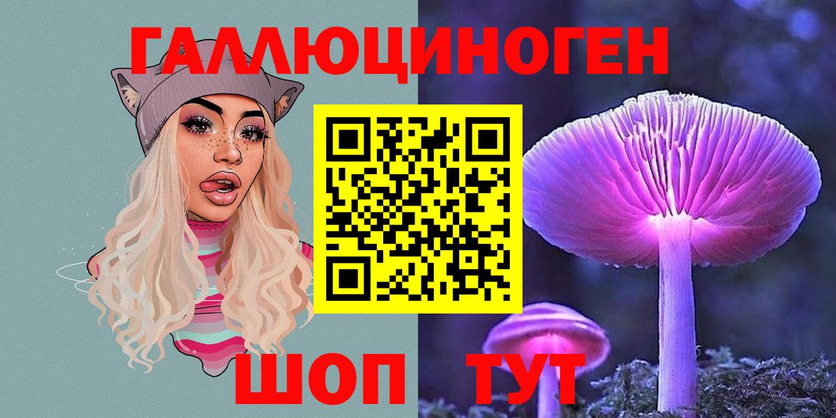 Псилоцибиновые грибы Cubensis Бахчисарай